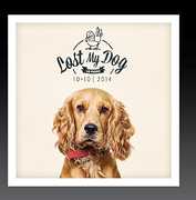 Lost My Dog 10x10 - 2014 , Various Artists