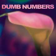 Dumb Numbers , Dumb Numbers