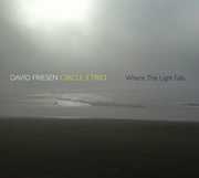 Where the Light Falls , David Friesen