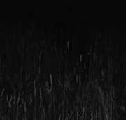 White Nights /  Drone Fields , Aidan Baker