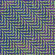 Merriweather Post Pavillion [Import] , Animal Collective