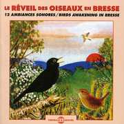 Birds Awakening In Bresse , Oiseaux
