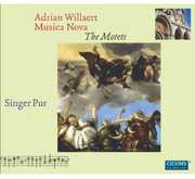 Musica Nova - the Motets , Singer Pur