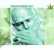 Chillum Dreams, Vol. 1 , Various Artists