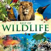 Best Of Wildlife / Various , Various Artists