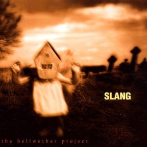 The Bellwether Project , Slang