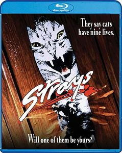 Strays , Kathleen Quinlan