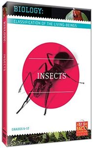 Biology Classification: Insects