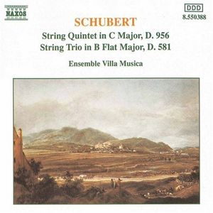 String Quintet /  String Trio , Ensemble Villa Musica