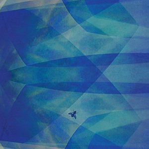 Bluefly , Cyro Baptista