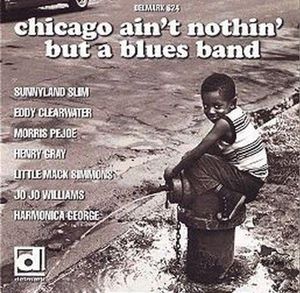 Chicago Ain't Nothin But a Blues Band / Various , Various Artists
