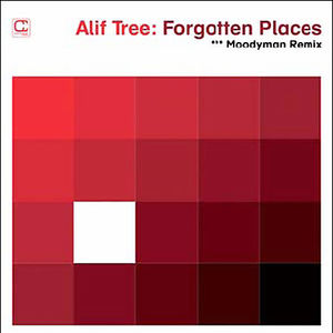 Forgotten Places (Moodymann Remix) , Alif Tree