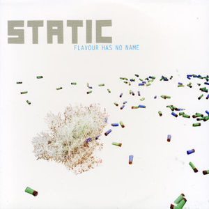 Flavour Has No Name , Static