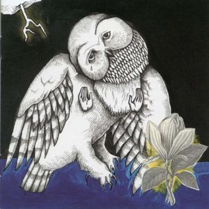 Magnolia Electric Co. , Songs: Ohia