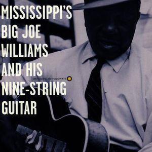 & His Nine String Guitar , Big Joe Williams