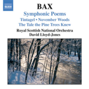 Symphonic Poems , David Lloyd-Jones