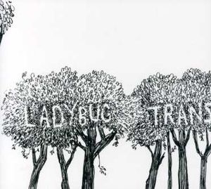 Here Comes the Rain , The Ladybug Transistor