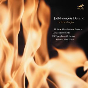 Terre Et Le Feu / Raisons Des Forces Mouvantes , Pierre-Andre Valade