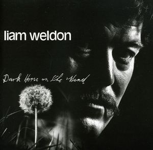 Dark Horse on the Wind , Liam Weldon