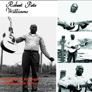 Robert Pete Williams , Robert Pete Williams