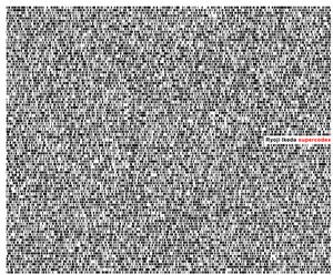 Supercodex , Ryoji Ikeda