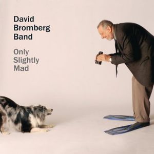 Only Slightly Mad , David Bromberg