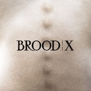 Brood X , Boss Hog