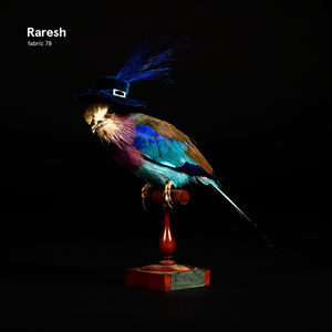 Fabric 78 , Raresh