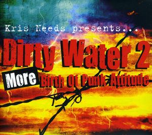 Dirty Water, Vol. 2: More Birth Of Punk Attitude , Various Artists