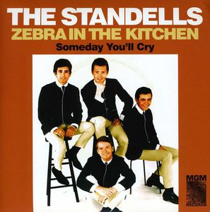 Zebra In The Kitchen/ Someday You'll Cry , The Standells