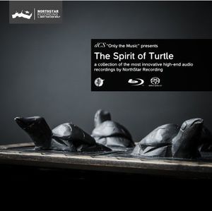 Spirit of Turtle / Various , Various Artists