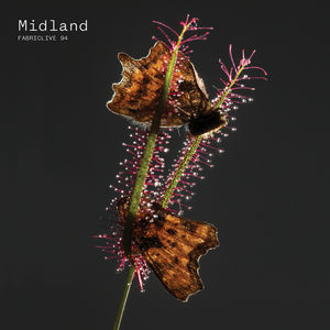 Fabriclive 94 , Midland