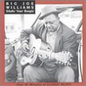 Shake Your Boogie , Big Joe Williams