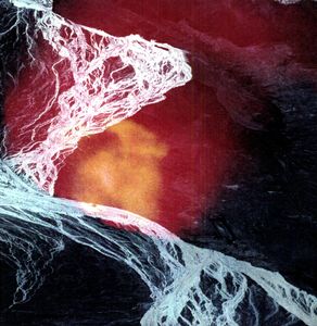 Light Science , Wires Under Tension