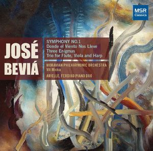 Symphony 1 , Vit Micka