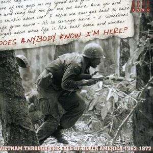 Does Anybody Know I'm Here? Vietnam Thro [Import] , Various Artists