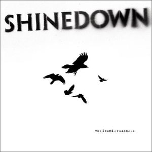 The Sound Of Madness , Shinedown
