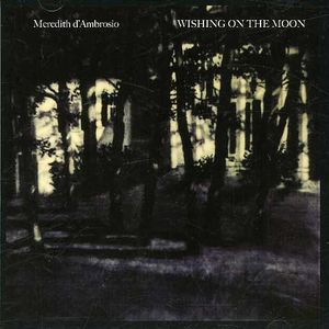 Wishing on the Moon , Meredith d'Ambrosio
