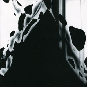 Diamond Daze , Pantha du Prince