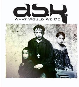 What Would We Do , DSK