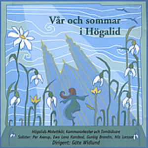 Var Och Sommar I Hogalid / Various , Various Artists