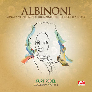 Sonata Vi G minor from Sinfonie Concerti 5 , Collegium Pro Arte