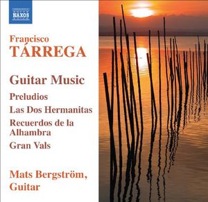 Guitar Music , Mats Bergstr m