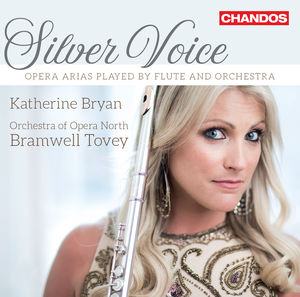 Silver Voice , Various Artists