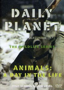 Animals: A Day in the Life 