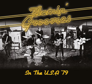 In the U.S.A '79 , Flamin' Groovies