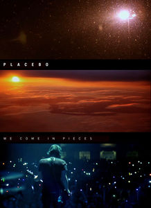 We Come in Pieces