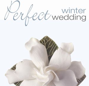 Perfect Wedding: Winter / Various , Various Artists