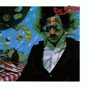 But Seriously, Folks.. , Joe Walsh