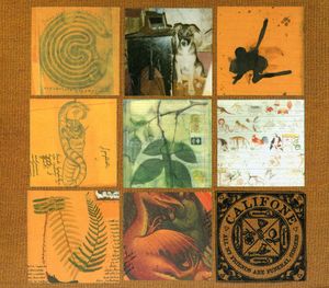 All My Friends Are Funeral Singers